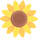 sunflower icon